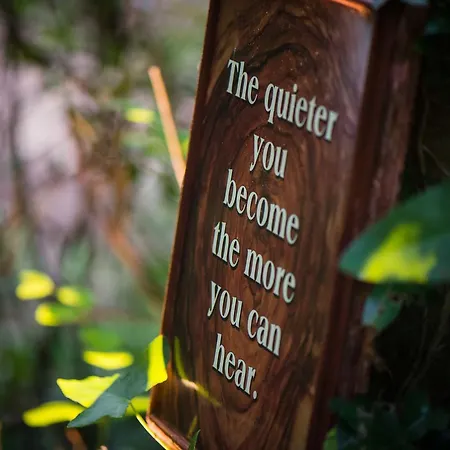 B&B Ballinwillin House 미첼스타운