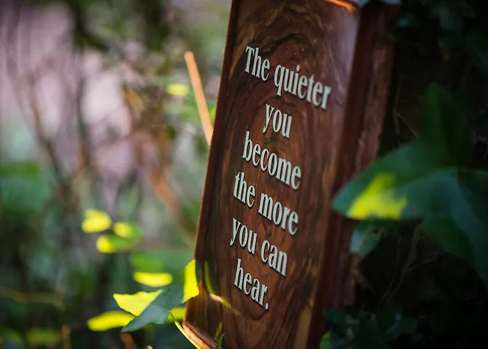 Bed & Breakfast Ballinwillin House Mitchelstown